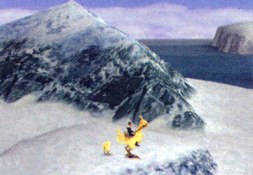 Travelling with the Chocobo