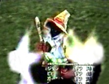 VIVI in battle